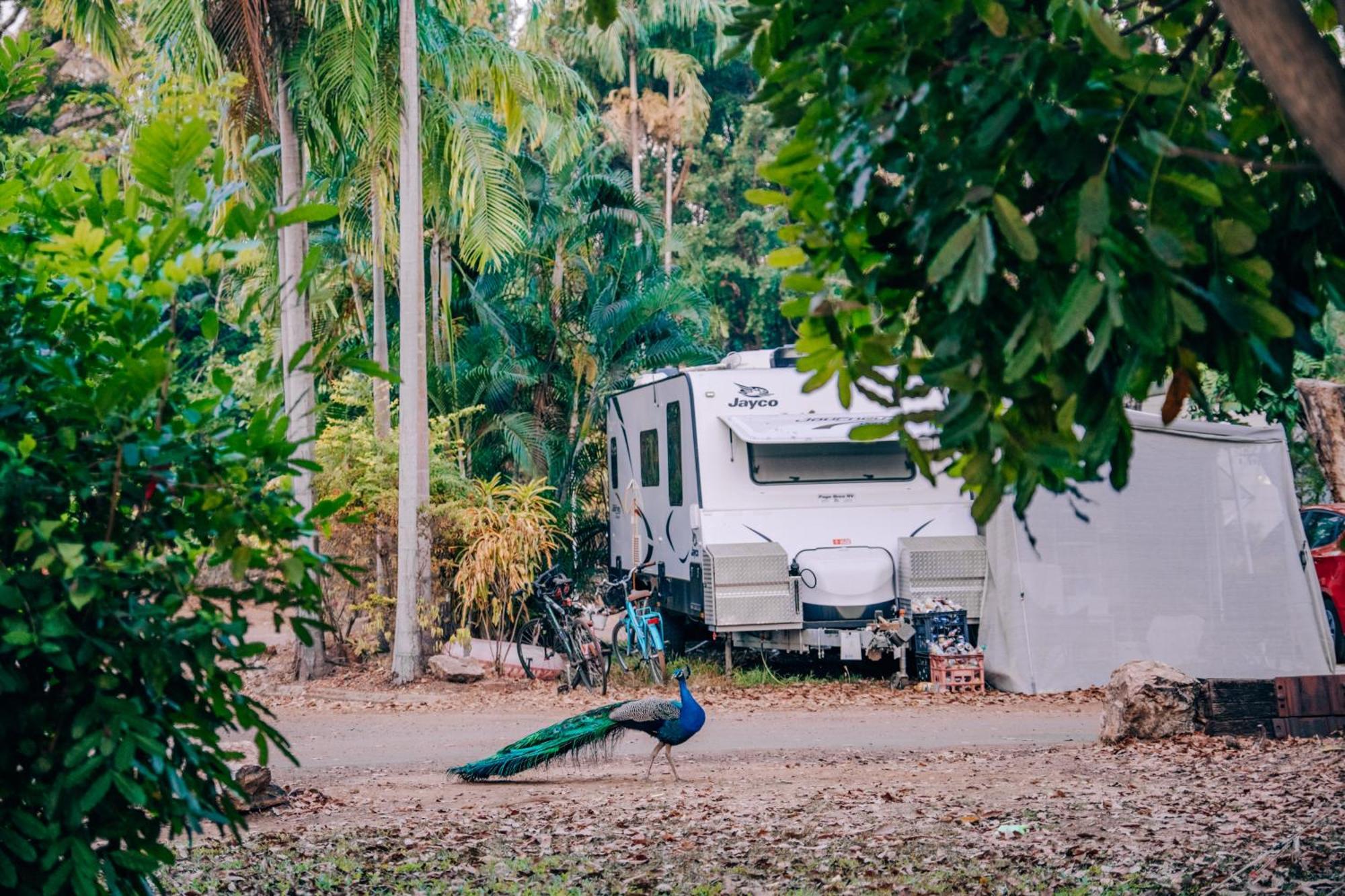 Big4 Howard Springs Holiday Park ดาร์วิน ภายนอก รูปภาพ
